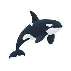 Obraz premium 2D flat vector illustration of Orca, clean and minimal icon style, isolated on white background.