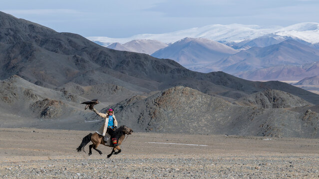 Mongolian eagle hunter (berkutchi) riding a horse with a blindfolded golden eagle, Altai Mountains, Bayan-Olgii, Western Mongolia, Mongolia