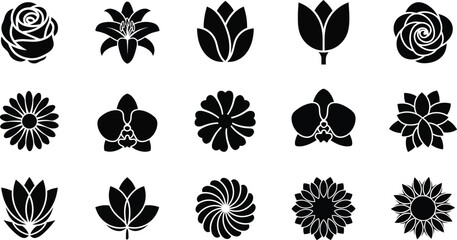 Black and white floral flowers silhouettes © hr graphics