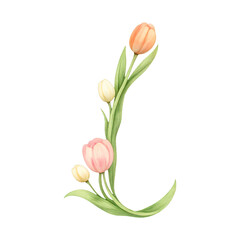 PNG Elegant tulip floral illustration