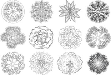 Collection of intricate black and white illustrations of various flower like patterns isolated on transparent background