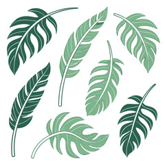 Collection of seven exotic tropical jungle leaves and palm fronds in varying shades of green, isolated vector illustrations © Sirajum