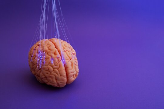 Purple day. Epilepsy awareness day. Neurolink example