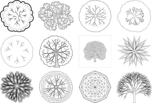 Collection of intricate circular floral patterns isolated on transparent background