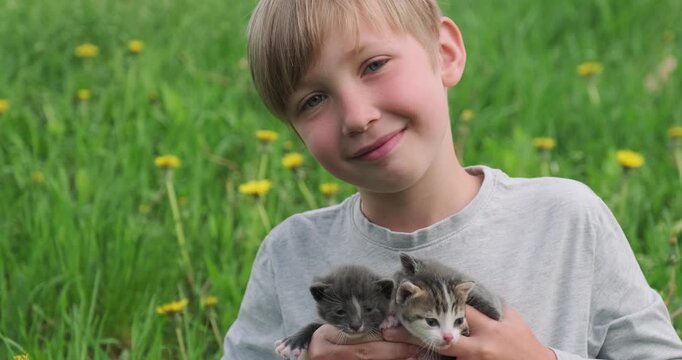 Happy child with kittens in hands is sitting on the lawn while sunny summer day. Cheerful boy holds small kittens near face. Cute kid sits on the grass with kittens against green plants. Slow motion