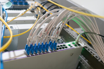 Networking Equipment in Action