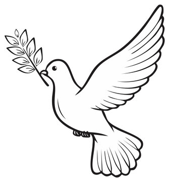 Flying Dove of Peace with Olive Branch Black and White Line Art Illustration