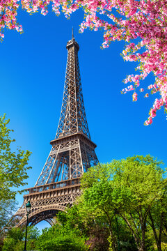 The Eiffel Tower