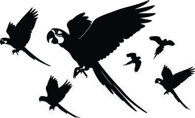 Silhouette flock of flying macaw parrots for tropical nature themes vector design © Nasima