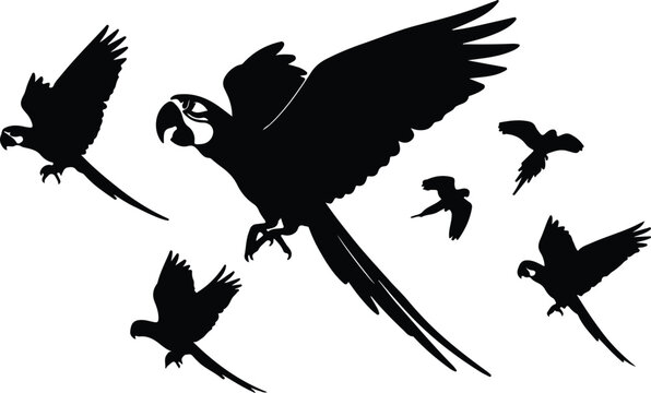 Silhouette flock of flying macaw parrots for tropical nature themes vector design