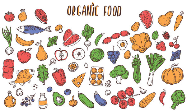 Organic food sketch doodles . Whimsical food doodles, Hand drawn vector illustration for menu, packaging design. Food quirky icons, simple sketch style. Top view. Simply fun