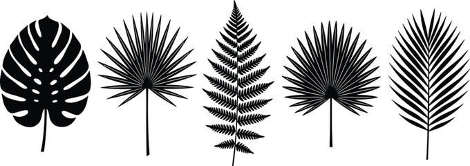 WebCollection of black tropical leaf silhouettes including monstera, palm, and fern fronds isolated on white background for exotic summer design. © Tahera