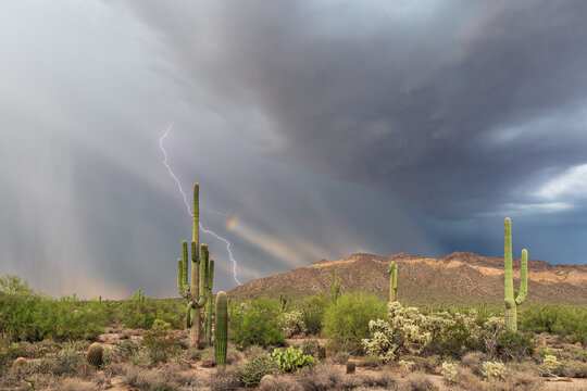 Scenic Sonoran Desert landscape with a lightning storm