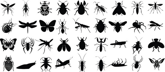 Variety of insect silhouettes detailed black vector illustrations © Rabbi