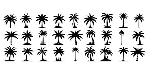 Variety of black palm tree silhouettes for tropical and beach themes © Prsho