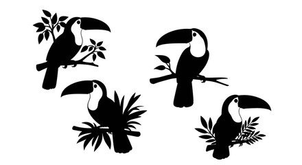 Fototapeta premium Collection of four black toucan silhouettes perched on branches with leaves