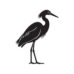 Obraz premium North American Snowy Egret icon in black fill silhouette mode. Top choice of animal vector illustration in trendy style. Editable graphic resources for many purposes. 