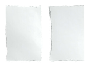 Obraz premium Two torn white paper rectangles with rough edges, isolated on a black background