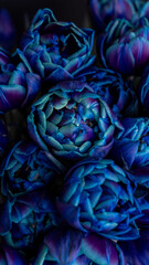 Fototapeta premium dark large bouquet blue purple space tulips. screensaver, background, greeting. spring holiday flowers, gift, birthday. Close-up, fantastic painted flowers. dark demonic mystical floral background