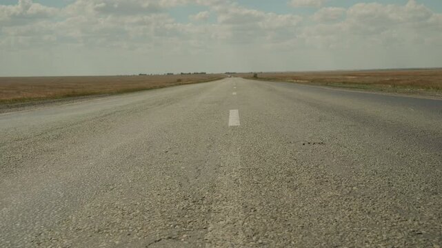 Tumbleweed rolls across asphalt road in steppe region in wind
