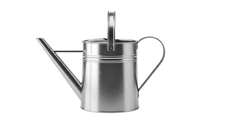Obraz premium A shiny metal watering can on a for gardening and plant care