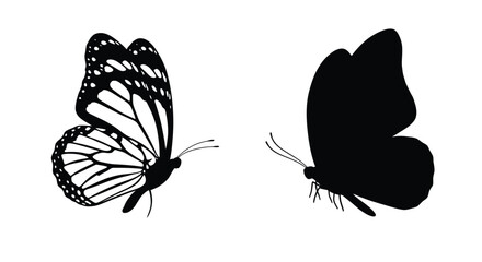 Two butterflies displayed one detailed and one in stark silhouette © Jesmin