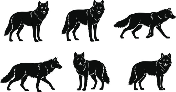 Wolf silhouette collection featuring wild forest predators in various poses for nature and wilderness design cad drawing flat vector illustration.