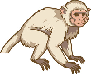 Obraz premium Curious White Monkey Primate Vector Illustration Looking Sideways Adorable Cartoon Graphic