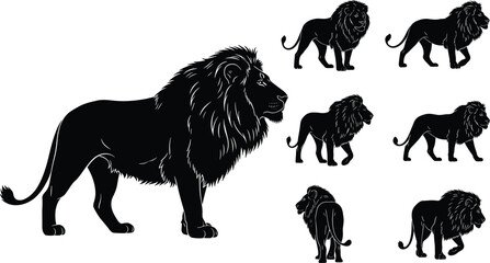 Collection of male lion silhouettes featuring various poses including walking, standing, and profile views for wildlife conservation, safari, and power branding. © Ayesha