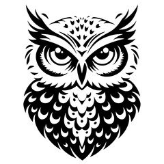 owl on a white background