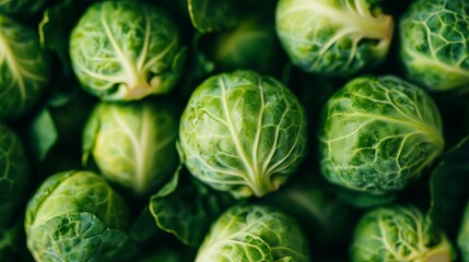 Fototapeta premium Vibrant Arrangement of Whole Fresh Brussels Sprouts Showcasing Their Green Heads and Layered Leaves