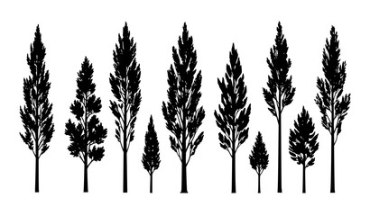 Tall poplar tree silhouette collection minimalist forest vector illustration isolated on white background © MdNayeem