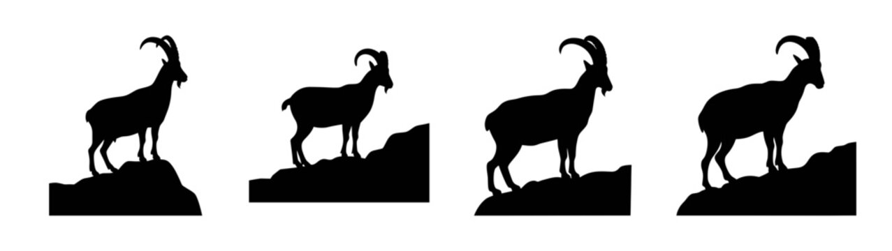 Ibex silhouette vector illustration featuring mountain goats standing on rocky terrain design art