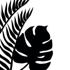 Monstera and palm jungle leaves, exotic foliage, decorative natural plant. Hand drawn flat illustration © Oleh