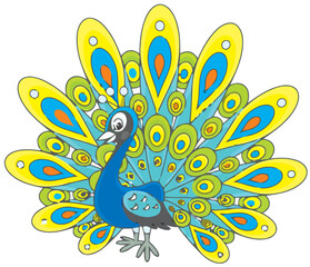 A colorful peacock spreads its vibrant tail feathers in a lush garden setting.