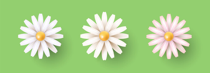 Naklejka premium Three flowers on a green background. White, light blue, and pink daisies. Spring and summer flowers. Design elements. Vector EPS 10.