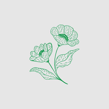 abstract floral background with flowers Hand-Drawn Green Floral Line Art with Two Flowers and Leaves.