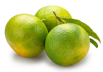 Three green tangerines and tangerine leaves isolated on white background. File contains clipping paths.