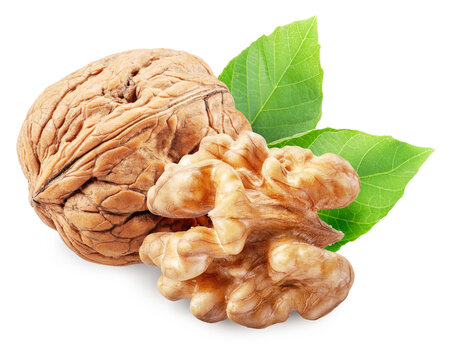 Whole walnut and peeled walnut half isolated on white background, maximum sharpness of stacking photography method, clipping path.