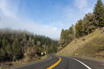 Naklejka premium A road through the mountains with trees