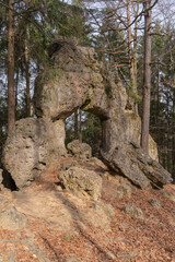 Obraz premium Natural stone arch in forest 