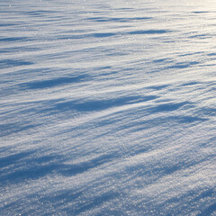 Sparkling white snow covers the ground with soft blue shadows and a textured crystalline surface under bright sunlight. Generative AI.