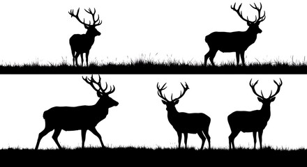 Fototapeta premium Silhouette collection of majestic deer with large antlers, on grassy ground