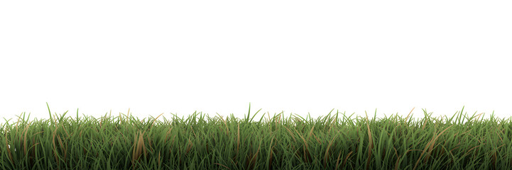 A serene landscape of green grass against a dark background