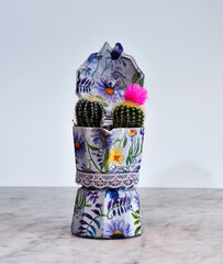 Naklejka premium Colorful coffee pot decorated with decoupage and real succulents