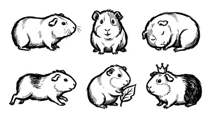 Set of six hand-drawn guinea pig illustrations in various cute poses, including sleeping, running, eating a leaf, and wearing a crown, rendered in a charming black ink sketch style