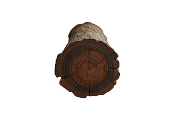 Cross section of a natural wood log showing detailed growth rings and bark texture, isolated on a transparent background