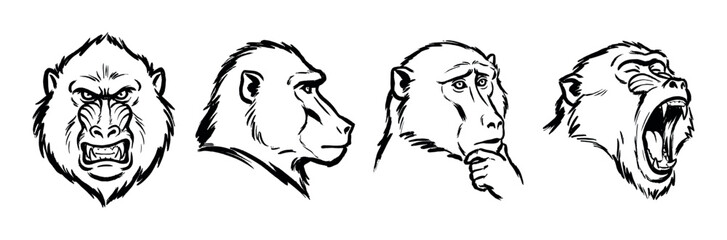 Fototapeta premium Set of four expressive primate heads drawn in a bold black ink brushstroke style, showcasing a range of emotions including anger, calmness, sadness, and aggression