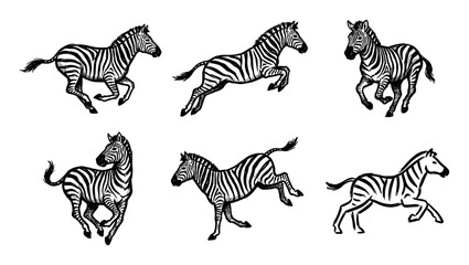 Fototapeta premium Set of six hand-drawn zebras in various dynamic running and jumping poses, depicted in a bold black and white graphic ink sketch illustration style for a wildlife concept