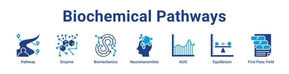 Naklejka premium Biochemical Pathways Icon Banner blue color